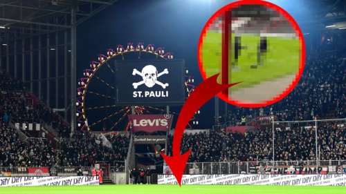 FC Schalke 04: Was ist denn da los? Maulwurf-Alarm beim FC St. Pauli vor Topspiel