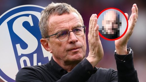 FC Schalke 04: Ralf Rangnick bedient sich beim S04 – Ex-Coach verpflichtet IHN
