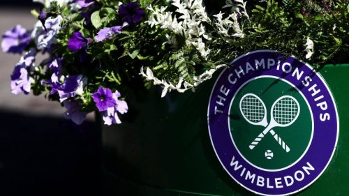 Wimbledon 2022 im TV und Stream: So siehst du das Tennis-Spektakel live