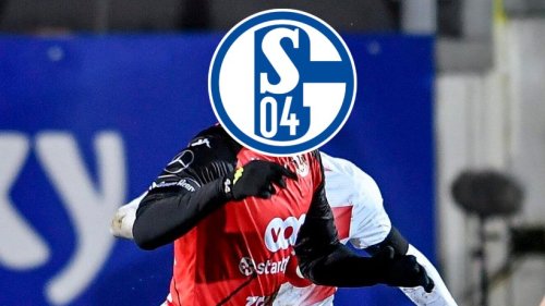FC Schalke 04: Dicke Überraschung! S04 meldet nächsten Neuzugang