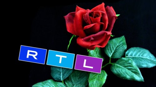 Neue „Bachelorette“ begeistert Fans – will sich RTL damit an IHR rächen?