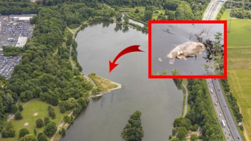 Bochum: Tote Tiere im Wasser! Erschreckende Bilder am Ümminger See – „Stinkt ekelhaft“