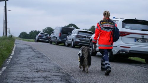 Essen und Bochum: Vermisstenfall führt zu Großeinsatz von Feuerwehr und Polizei – Wald wird durchkämmt