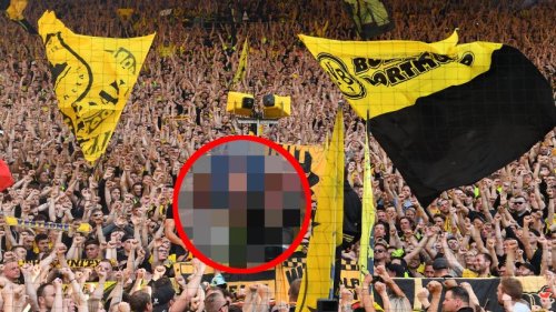 Borussia Dortmund: Neuzugang lässt BVB-Fans komplett ausrasten – „Liebe ihn jetzt schon“