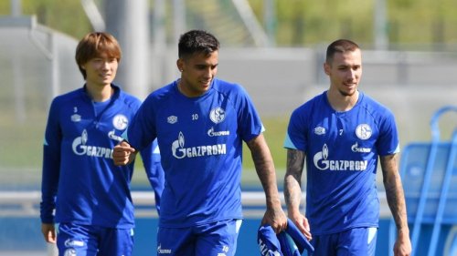 FC Schalke 04: Entscheidung um Aufstiegsheld bahnt sich an! Diese Aussage lässt S04-Fans hoffen