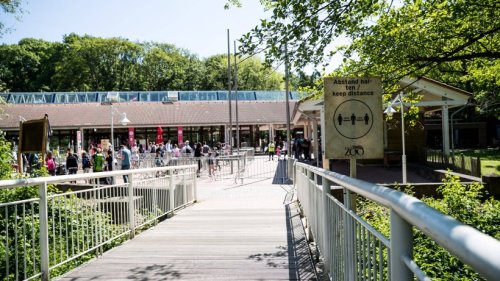 Zoo Dortmund: Abschied nach nur einem Jahr – Auf IHN müssen Besucher jetzt verzichten