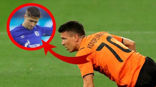 FC Schalke 04: Fans trauen ihren Augen nicht – S04-Flop soll ausgerechnet IHN beerben