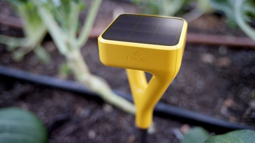 The Edyn Sensor Keeps You Connected to Your Garden