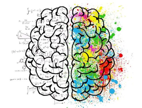 Creative Brains: How Cognitive Neuroscience Helps Understand Design Creativity