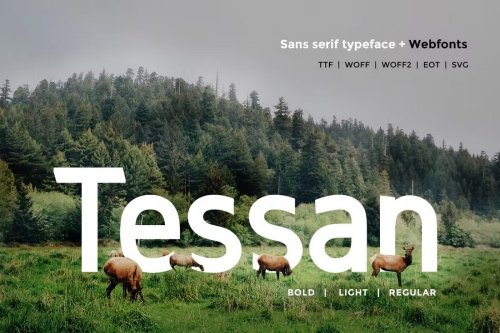 20+ Best Clean Fonts With Modern Designs (Free & Pro)