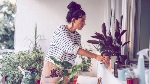H&M Home hat ein Teil, das deine Pflanzen am Leben erhält (und richtig schick aussieht!)