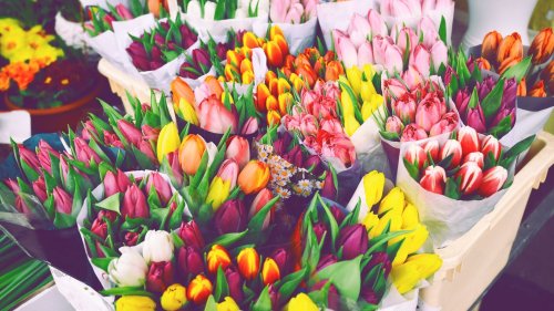 Wunderschöne Tulpen-Vasen: Dieser Ikea-Hack schenkt jedem Raum Frühlingszauber