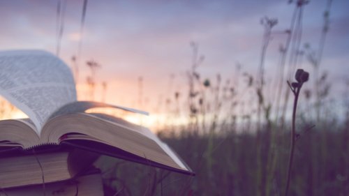 Zeitreise zwischen zwei Buchdeckeln: 7 Bücher, die dich in die Vergangenheit entführen