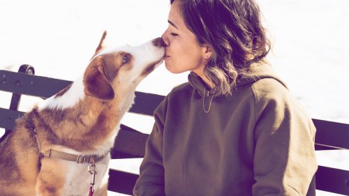 Der beste Freund des Menschen: Diese 3 Sternzeichen lieben Hunde über alles