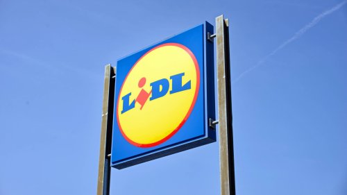 Entdeckt bei Lidl: Das ultimative Outdoor-Spielzeug, dem kein Hund widerstehen kann