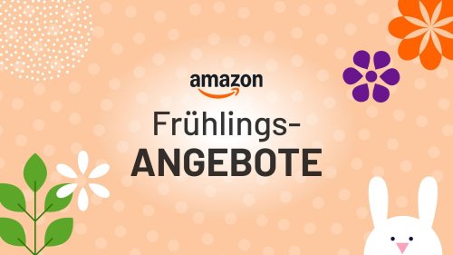 Amazon Frühlingsangebote 2025: Ninja Airfryer dramatisch im Preissturz