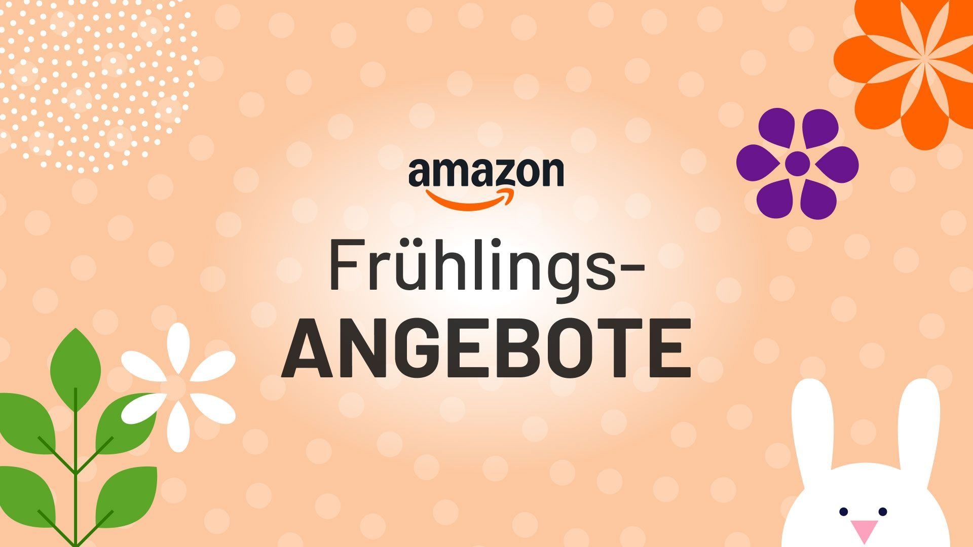 Amazon Frühlingsangebote 2025: Ninja Airfryer dramatisch im Preissturz