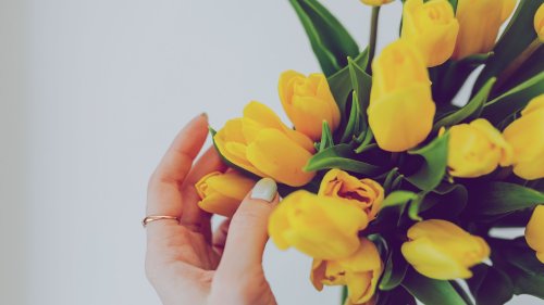 Wie bleiben Tulpen gerade? Diese 7 Experten-Tricks machen den Unterschied