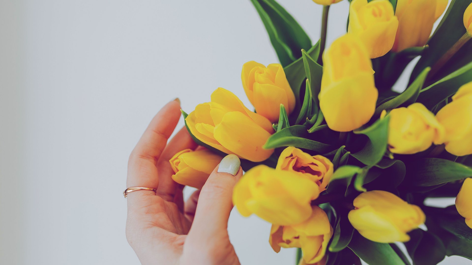 Wie bleiben Tulpen gerade? Diese 7 Experten-Tricks machen den Unterschied