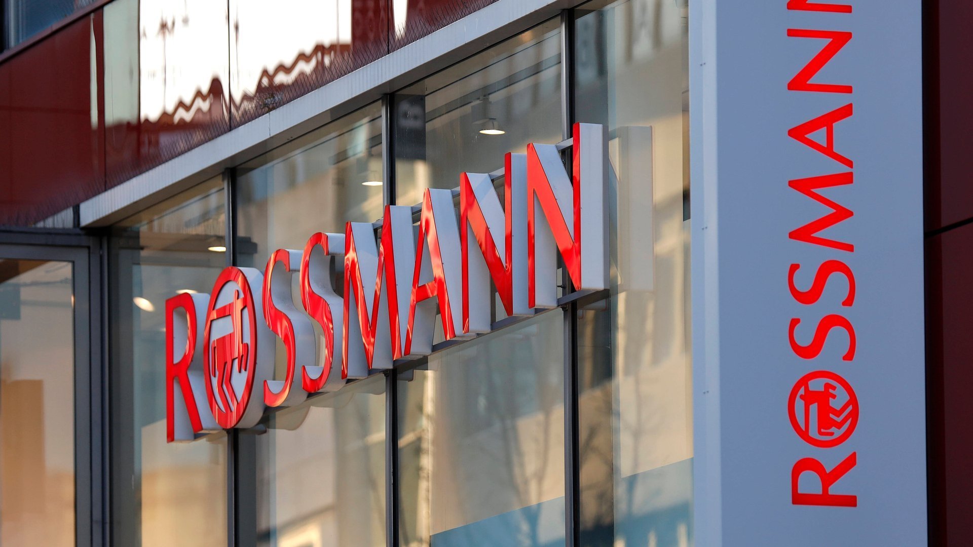 Du hast viele Pflanzen daheim? Dieses geniale Rossmann-Gadget ist ein Must-have für dich!