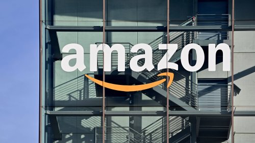 Unverzichtbar nach Spaziergängen: Das Zeckenzangen-Set von Amazon für Hundehalter