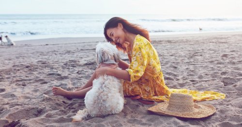 Urlaub mit Hund: Das musst du bei Ort, Anreise und Unterkunft beachten