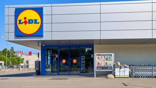Keine Lust auf ungebetene Blicke? Lidl hat die Lösung für deinen Garten