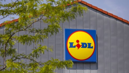 Gartentools verstaut und geschützt: Mit der trendigen Aufbewahrungsbox von Lidl kein Problem