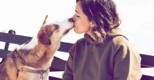Hundemenschen: Diese 3 Sternzeichen lieben die Vierbeiner über alles