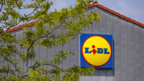 Für Balkon und Garten: Der beliebte Hängesessel von Lidl lädt zum Entspannen ein