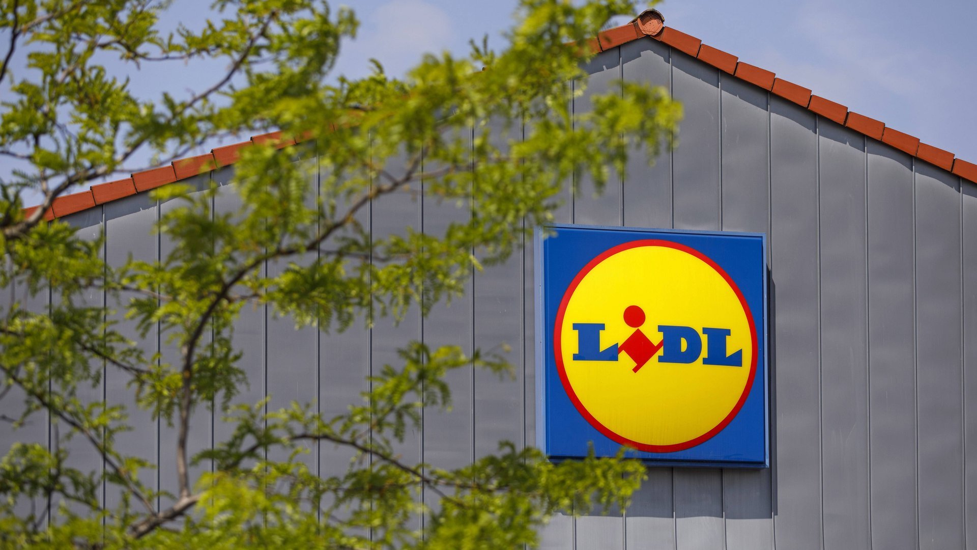 Für Balkon und Garten: Der beliebte Hängesessel von Lidl lädt zum Entspannen ein