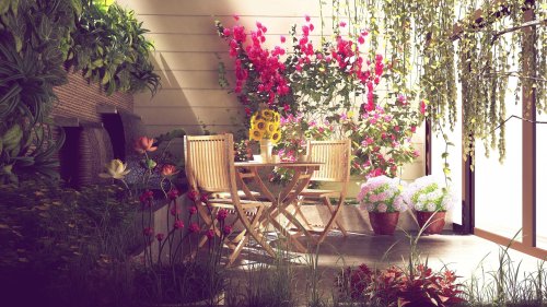 Diese 5 Kübelpflanzen sind perfekt für deinen sonnigen Balkon