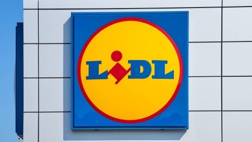 Praktisch für unterwegs: Die faltbare Haustiermatte von Lidl ist ein Muss für den Ausflug mit Hund