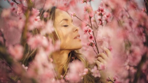 5 Frühlingsparfums, die duften wie ein Spaziergang durch Kirschblüten & Magnolien