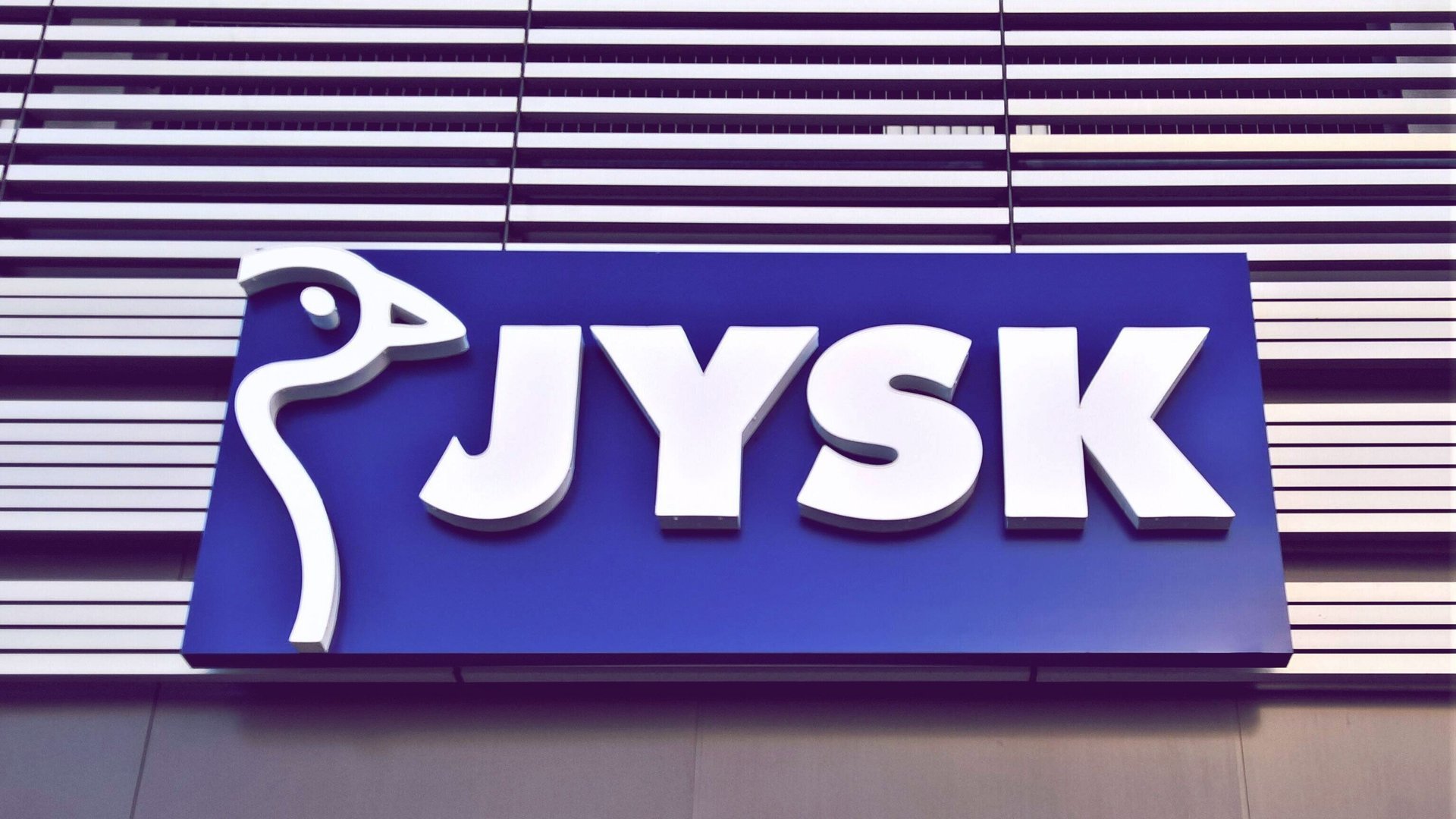 Farbenfrohes Statement: Die Jysk-Schale, die Obst, Salate und andere Speisen noch leckerer aussehen lässt