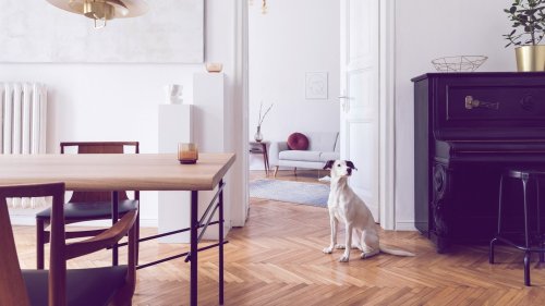 Das 1x1 der Wohnpsychologie: Diese Fragen helfen dir, dein Zuhause wirklich zum Wohlfühlort zu machen