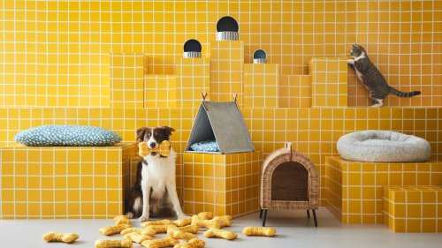 UTSÅDD: Ikea bringt die erste Haustierkollektion an den Start