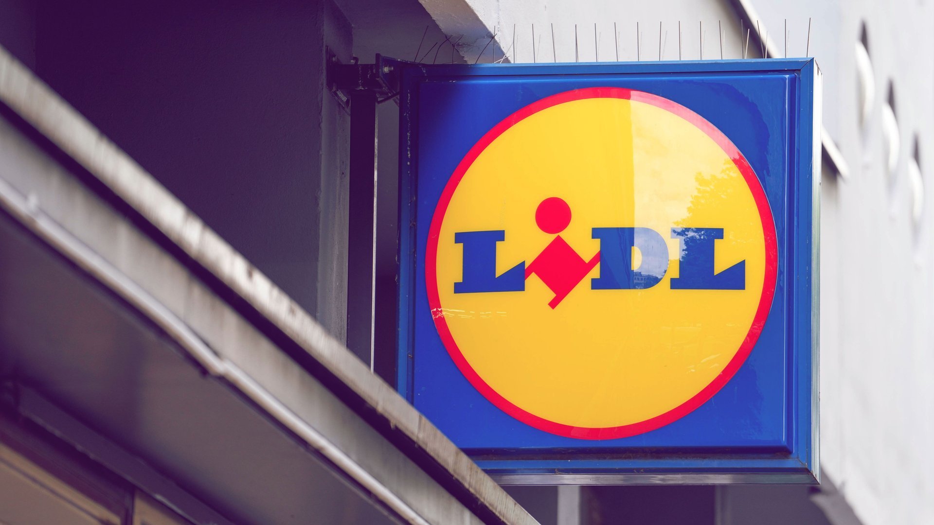 Du suchst Teile für deinen Outdoor-Bereich? Diese Highlights haben wir bei Lidl gefunden