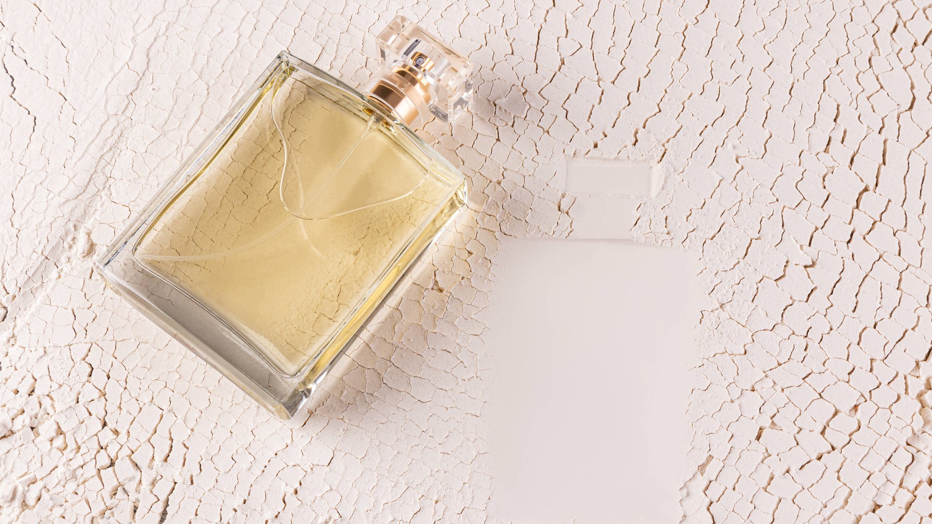 Sehnsucht nach Sonne? Dieses zitrisch-frische Parfum entführt dich gedanklich an den Strand