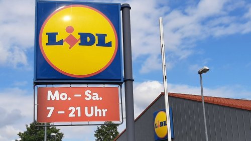 Ein Muss für den Frühjahrsputz: Der beliebte Hand- und Stielstaubsauger von Lidl