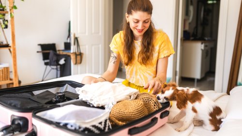 Komfortabel und praktisch: Der Haustier-Rucksack von Amazon, ideal für deinen kleinen Hund auf Reisen