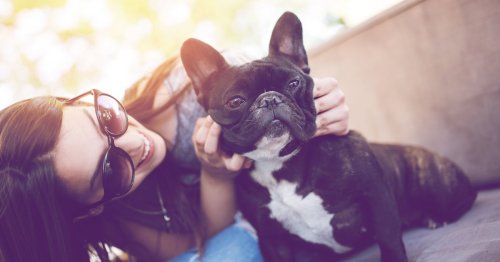 Quälende Hitze für Haustiere: Diese 8 Fehler solltest du unbedingt vermeiden!