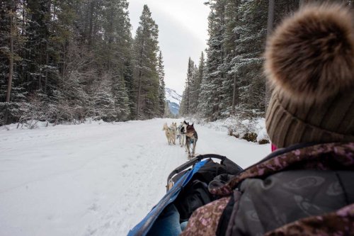 10 Best Things to do in Fairbanks, Alaska