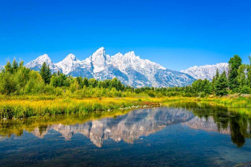 8 Best Things to do in Jackson Hole, Wyoming