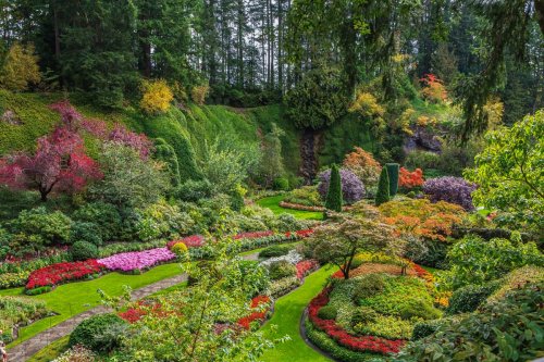 5 Best Butchart Gardens from Vancouver + Our Favorite!