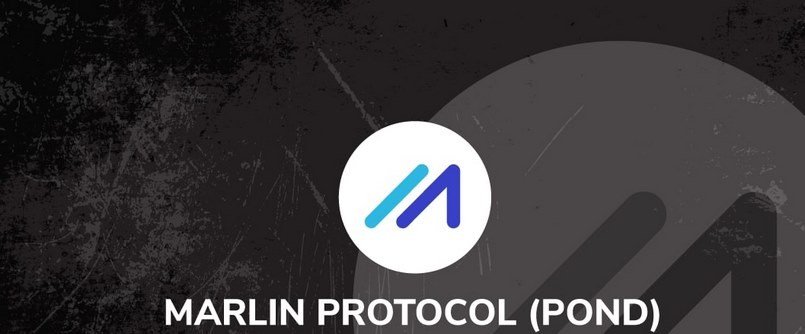Tìm hiểu về Pond coin là gì?