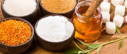 Feinkost | Zuckeralternativen – Was taugen Stevia, Agavendicksaft und Co? | detektor.fm – Das Podcast-Radio