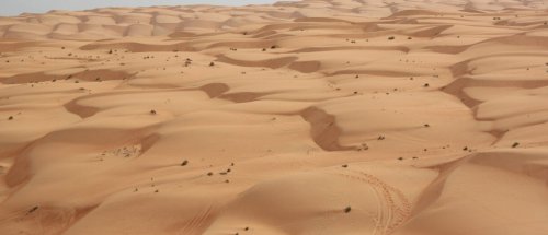 Gartenradio | Botanik im Oman – Ankunft aus der Wüste | detektor.fm – Das Podcast-Radio