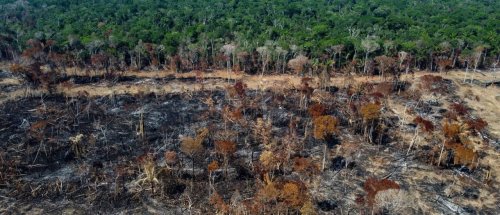 Zurück zum Thema | Ist der Amazonas noch zu retten? | detektor.fm – Das Podcast-Radio