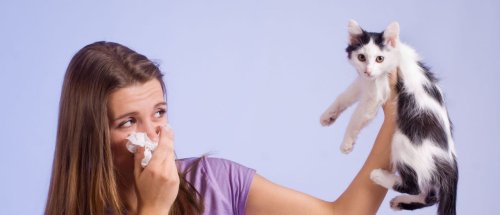 Spektrum-Podcast | Tierallergien – Allergisch auf Haustiere – was tun? | detektor.fm – Das Podcast-Radio